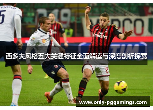 西多夫风格五大关键特征全面解读与深度剖析探索
