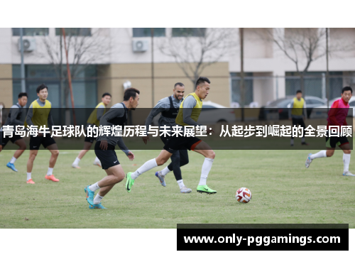 青岛海牛足球队的辉煌历程与未来展望：从起步到崛起的全景回顾