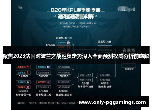 聚焦2023法国对波兰之战胜负走势深入全面预测权威分析前瞻解